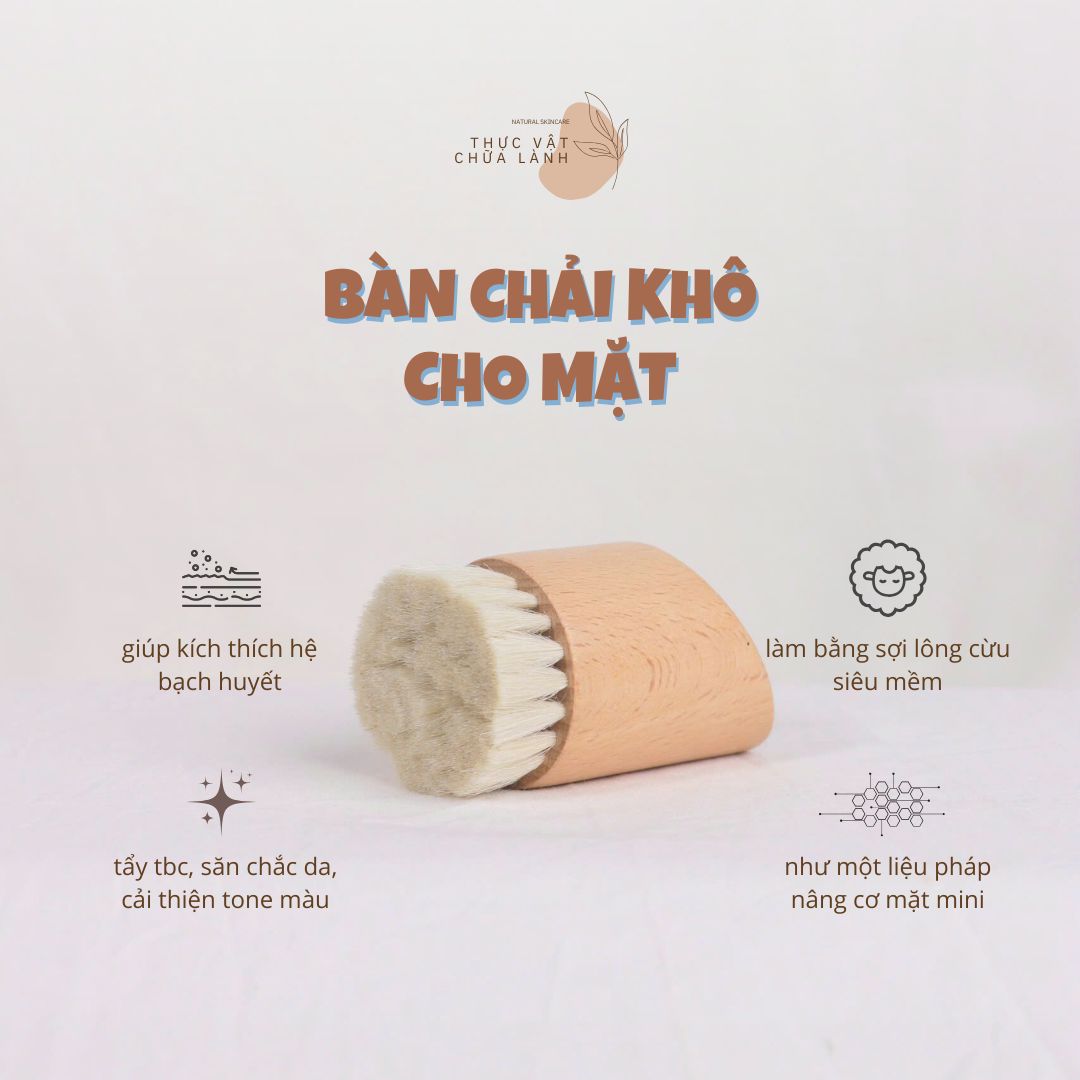 Bàn Chải Khô - Mặt