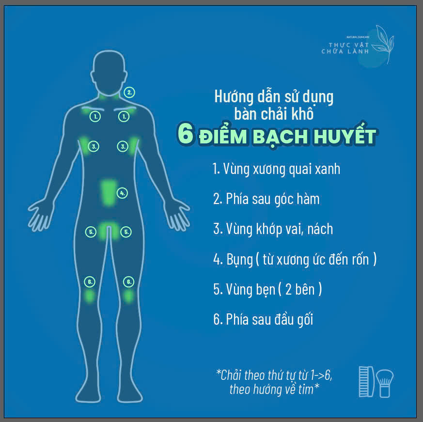 Bàn Chải Khô Năng Lượng - Body