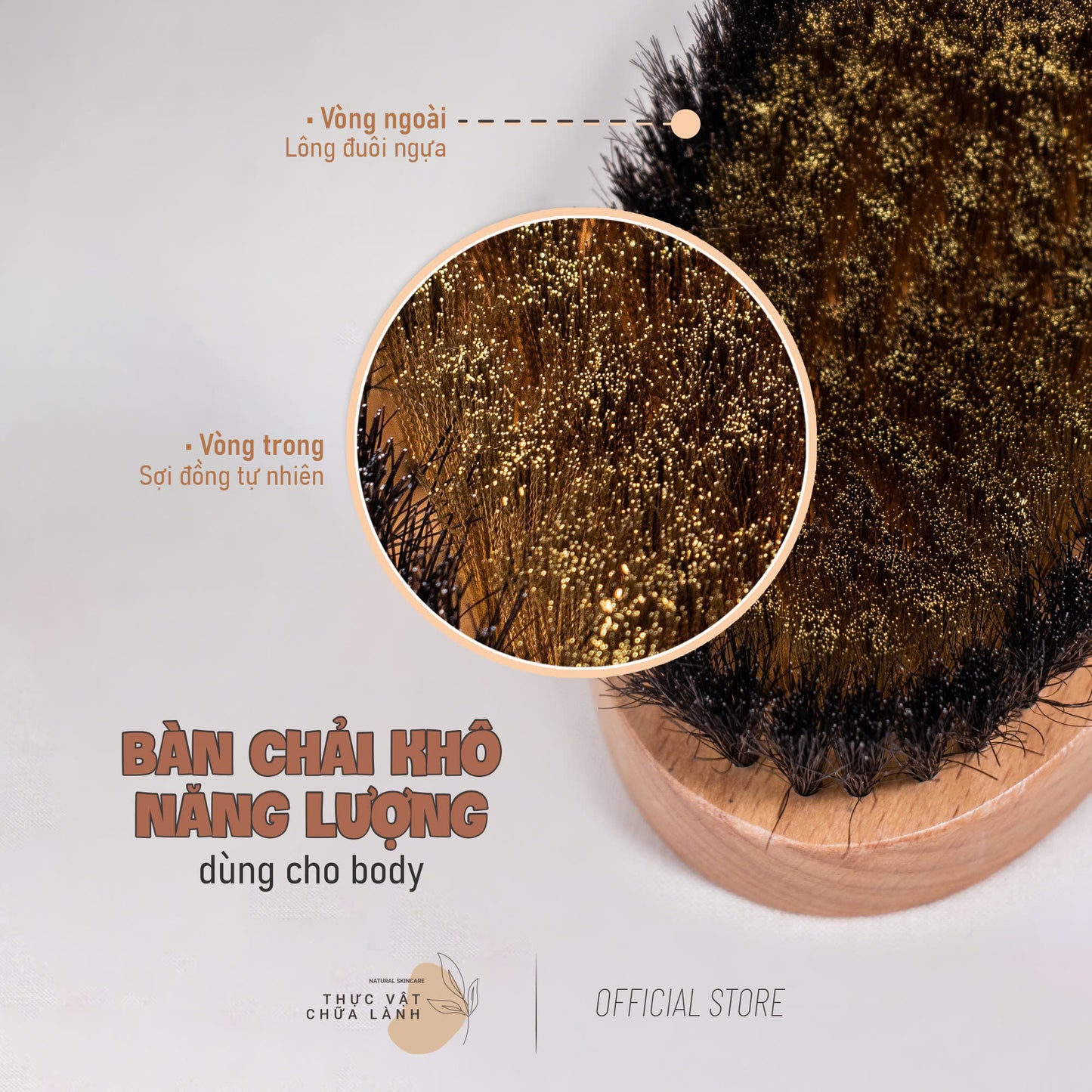 Bàn Chải Khô Năng Lượng - Body