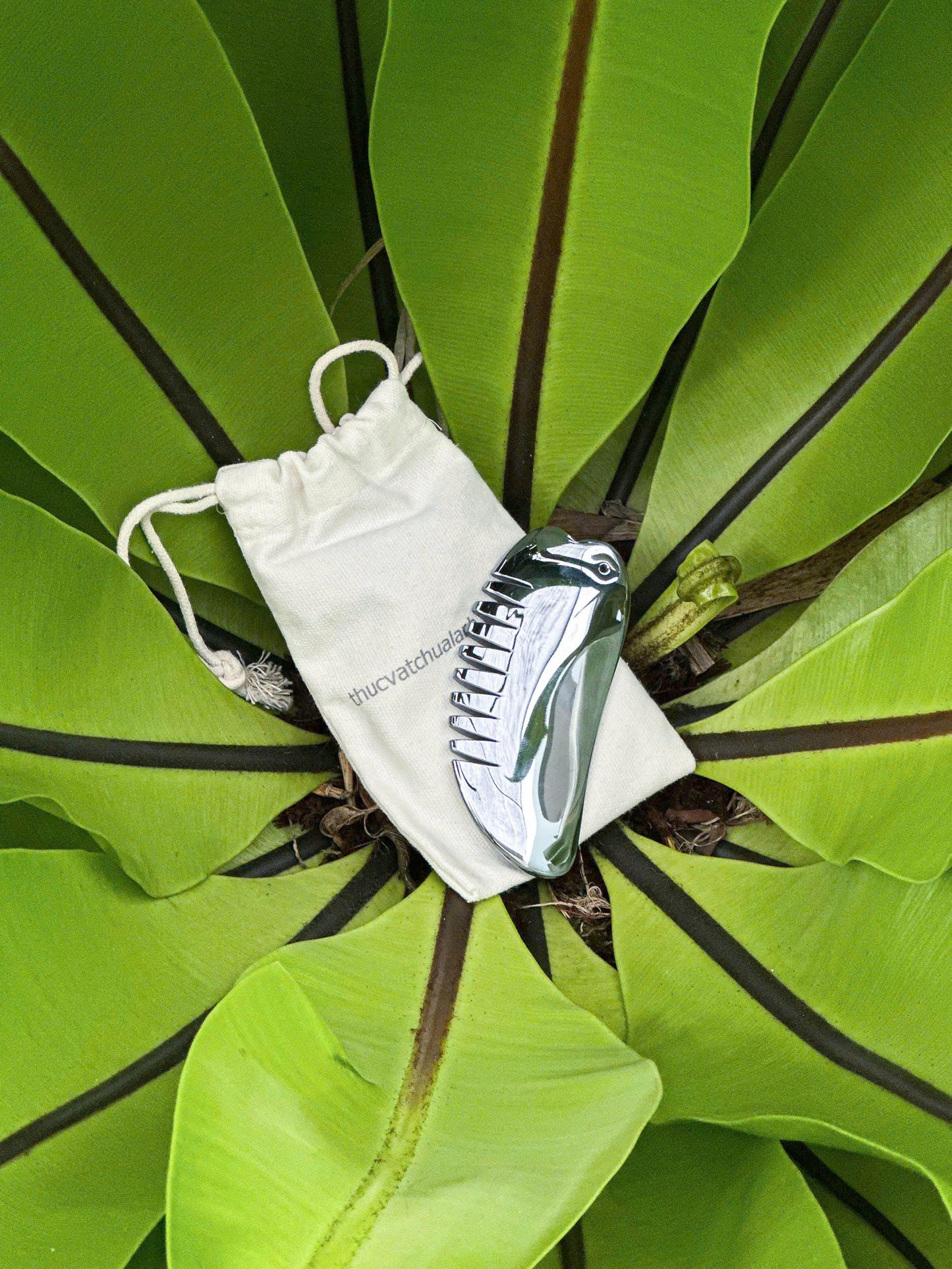 Lược Guasha Terahertz