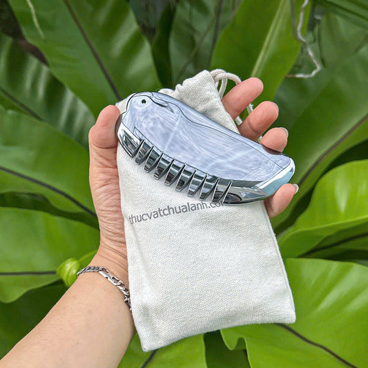 Lược Guasha Terahertz